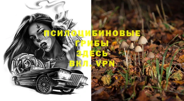первитин Абинск